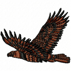 Eagle And Falcon Embroidery Design 3